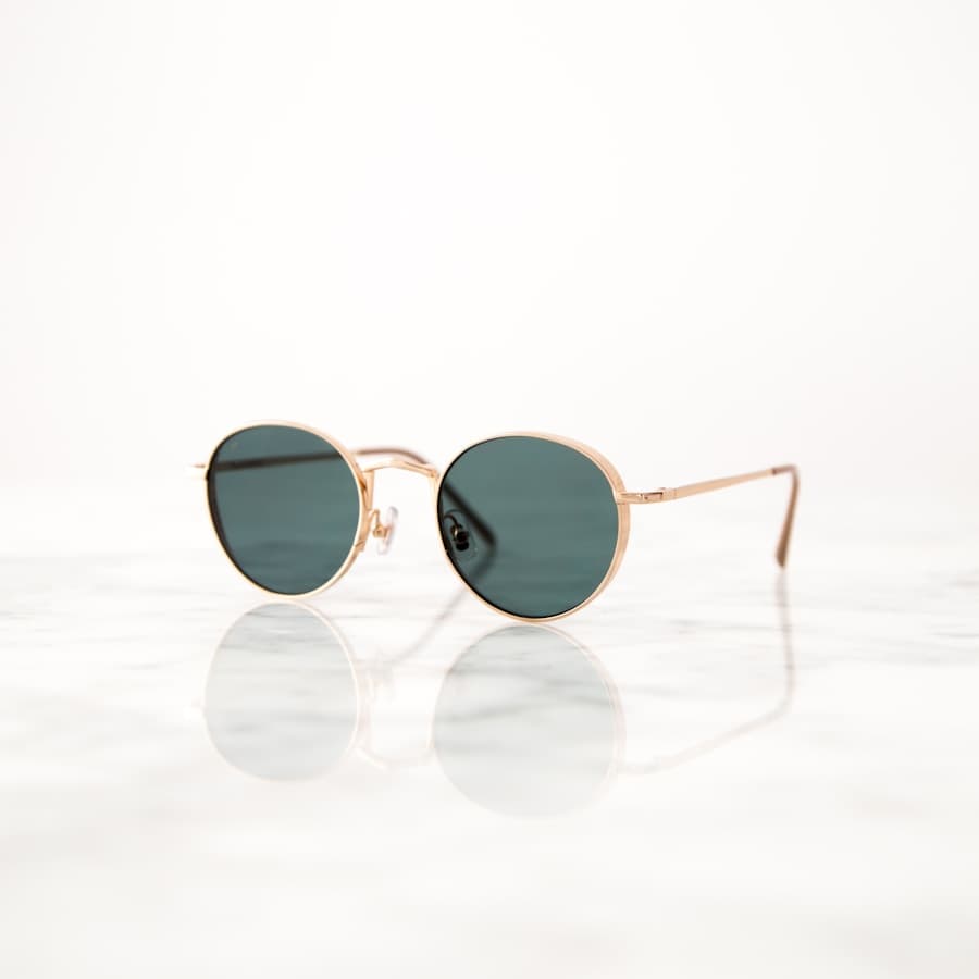 Horizon Polarized Sunglasses